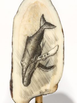 Ray Peters Scrimshaw - Deep Diving Humpback