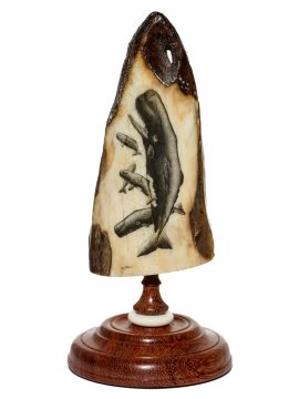 Ray Peters Scrimshaw - Sperm Whale Pod