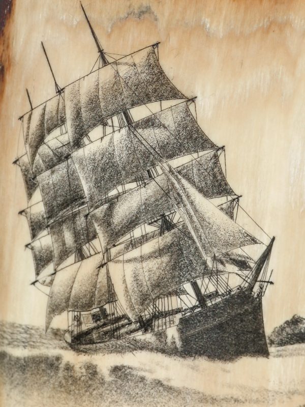 David Smith Scrimshaw - Wreck of the Glenesslin