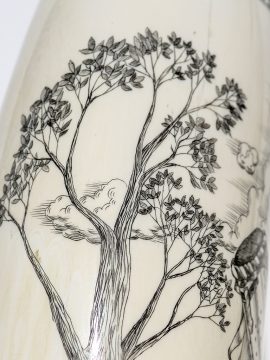 David Pudelwitts Scrimshaw - St. George vs Dragon