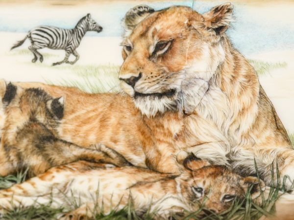 Mary Gregg Byrne - Serengeti Panorama