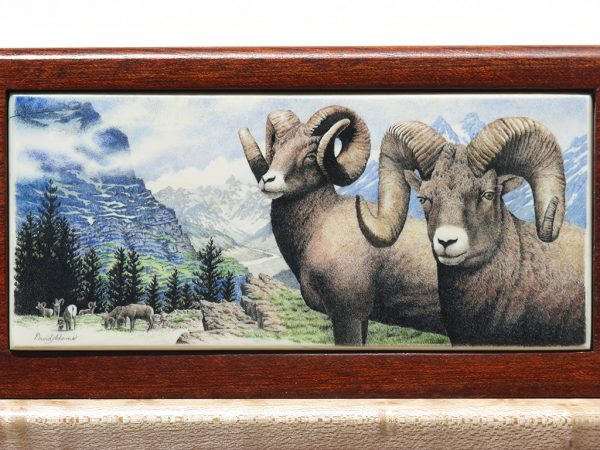 David Adams Scrimshaw - Majestic Big Horn Sheep