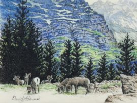 David Adams Scrimshaw - Majestic Big Horn Sheep