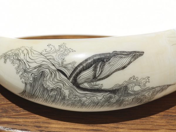 Scrimshaw by J.M. - Playful Breaching Whale