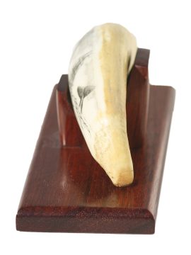 Barcelos Scrimshaw - Clipper and Breaching Whale