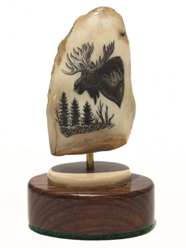 Charles W. Conner Scrimshaw - Large Bull Moose