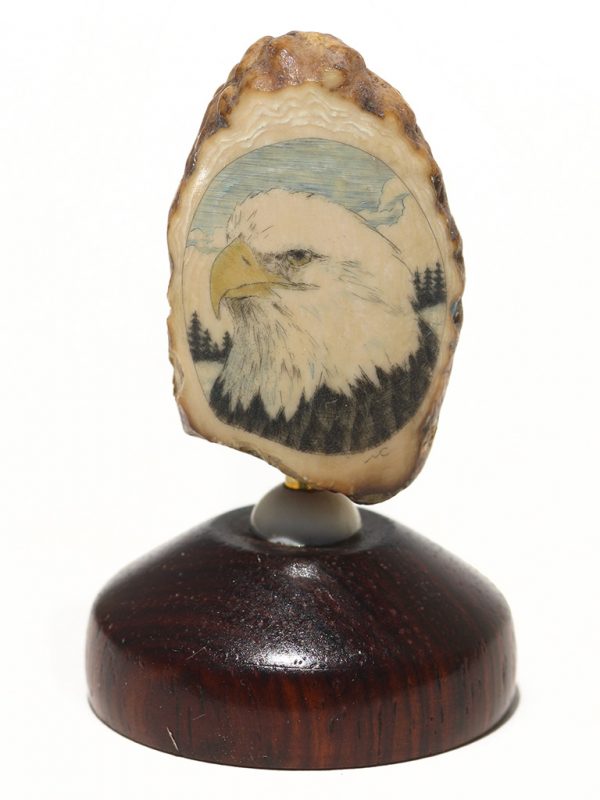 Mike Cohen Scrimshaw - Bald Eagle Portrait