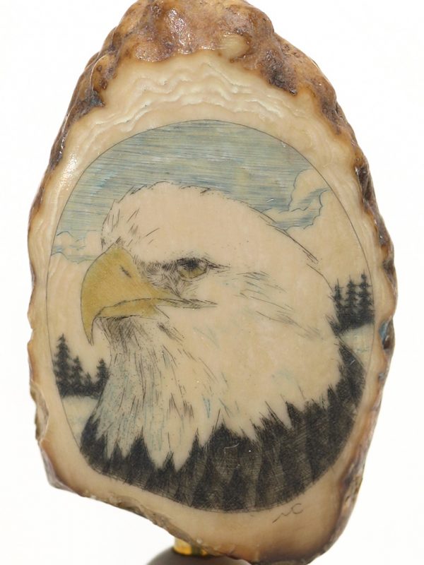 Mike Cohen Scrimshaw - Bald Eagle Portrait