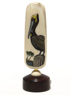 Charles Conner Scrimshaw - Resting Brown Pelican
