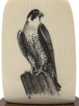 David Smith Scrimshaw - Resting Peregrine Falcon