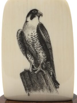 David Smith Scrimshaw - Resting Peregrine Falcon