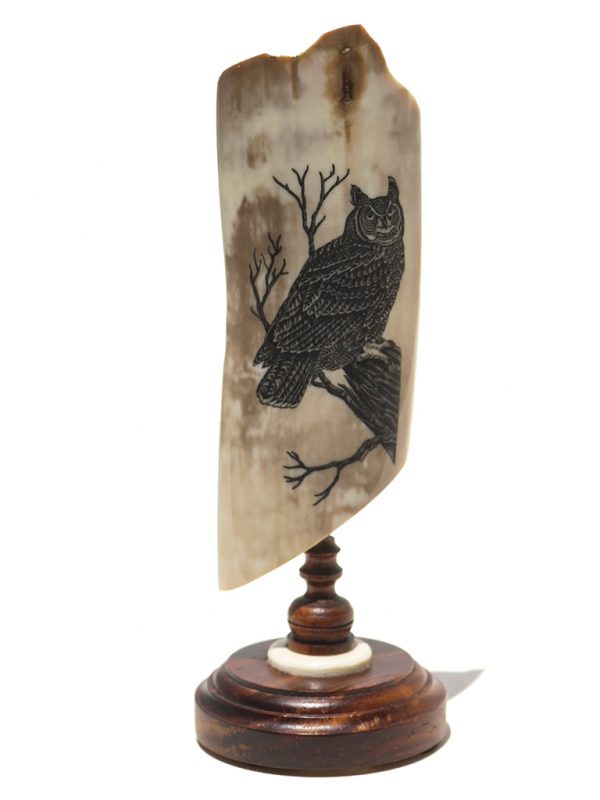 Chas. Conner Scrimshaw - Great Horned Owl Alone