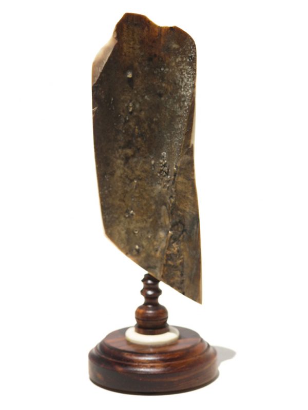 Chas. Conner Scrimshaw - Great Horned Owl Alone