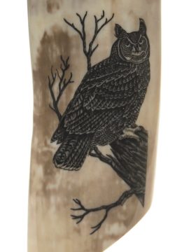 Chas. Conner Scrimshaw - Great Horned Owl Alone
