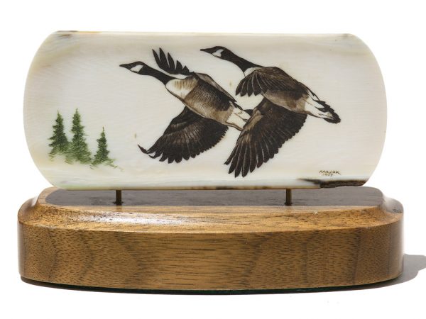 John Majak Scrimshaw - Canada Geese