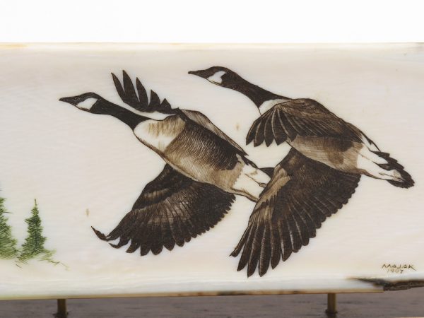 John Majak Scrimshaw - Canada Geese