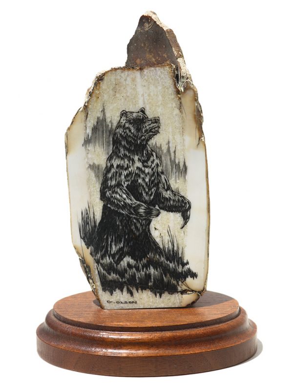 Geoff Olson Scrimshaw - Alaskan Grizzly Bear