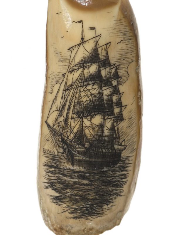 Gerry Dupont Scrimshaw - Windjammer under Sail