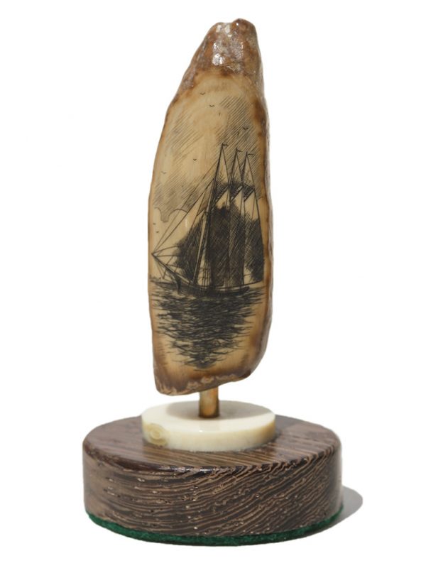 Gerry Dupont Scrimshaw - Graceful Schooner