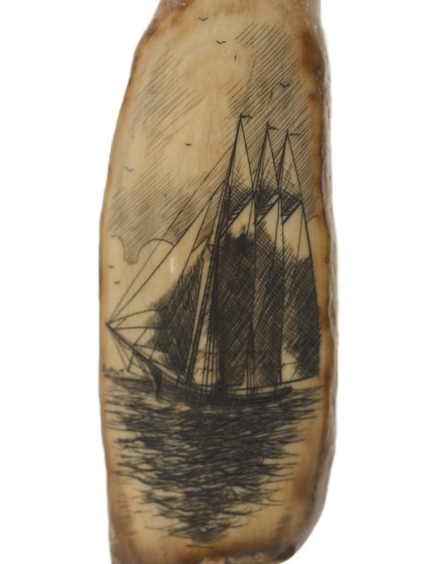 Gerry Dupont Scrimshaw - Graceful Schooner