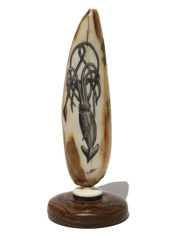Ray Peters Scrimshaw - Giant Squid