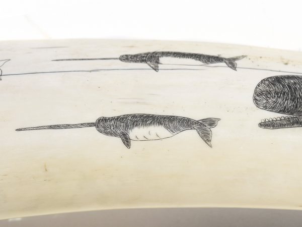 Rare Dorning & Slwooko Scrimshaw