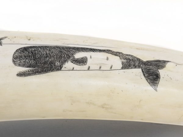 Rare Dorning & Slwooko Scrimshaw