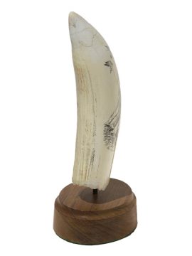 Gretchen Lindberg Scrimshaw - Huge Humpback Rising