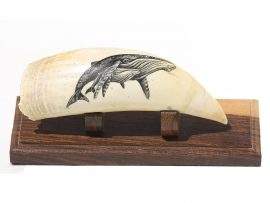 Lane Brower Scrimshaw - Protective Humpback Mama