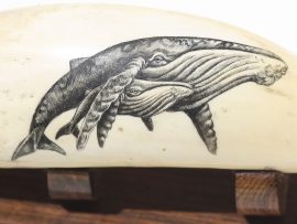 Lane Brower Scrimshaw - Protective Humpback Mama