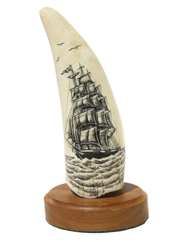 Lane Brower Scrimshaw - Clipper and Sea Gulls