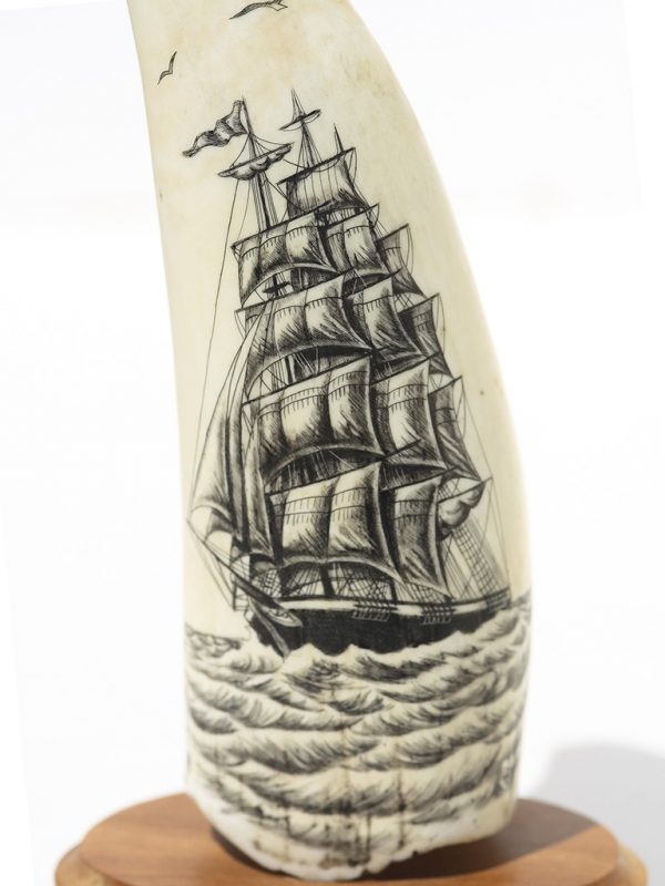 Lane Brower Scrimshaw - Clipper and Sea Gulls