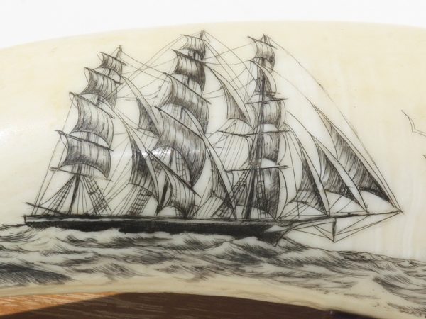 Lane Brower Scrimshaw - Square Rigger Racing By