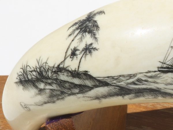 Lane Brower Scrimshaw - Square Rigger Racing By