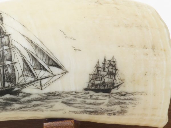 Lane Brower Scrimshaw - Square Rigger Racing By