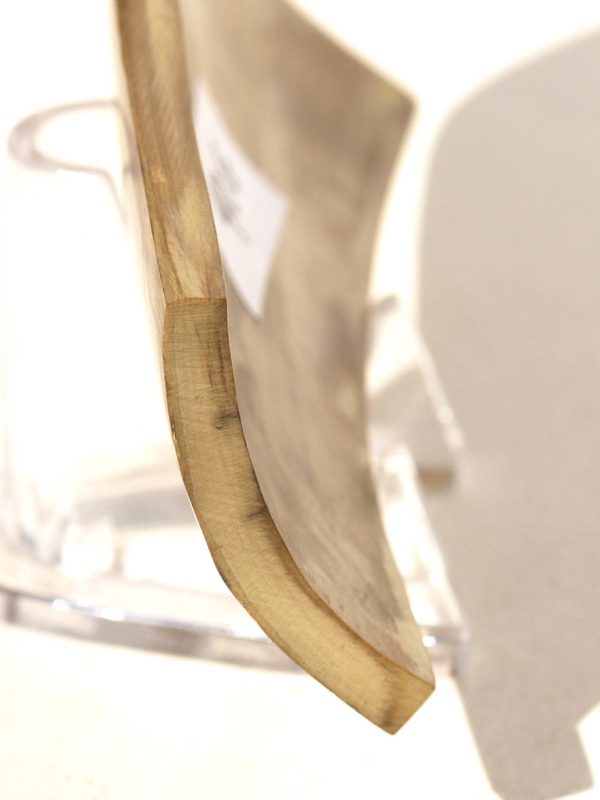 Ancient Mammoth Tusk Raw Ivory - Scrimshaw Collector