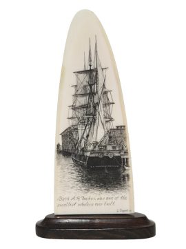 Gerry Dupont Scrimshaw - Bark A.R. Tucker