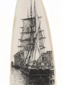 Gerry Dupont Scrimshaw - Bark A.R. Tucker