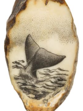 Ray Peters Scrimshaw - Disappearing Whale Fluke