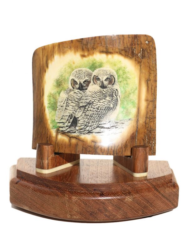 David Adams Scrimshaw - Great Horned Owlets