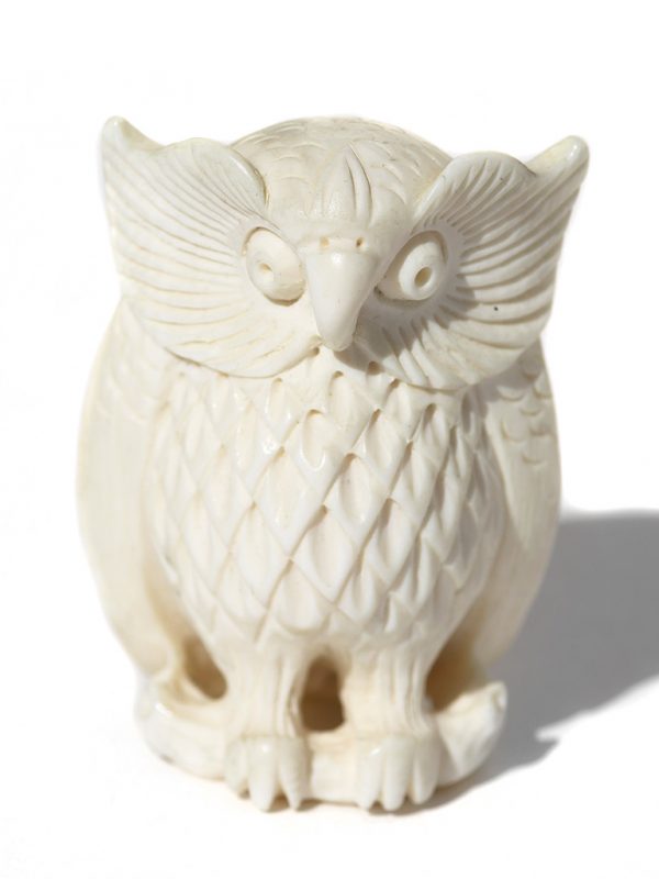 Unknown Carver - Big Feather Owl Netsuke