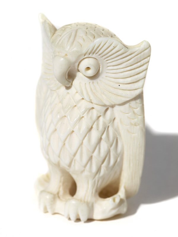 Unknown Carver - Big Feather Owl Netsuke