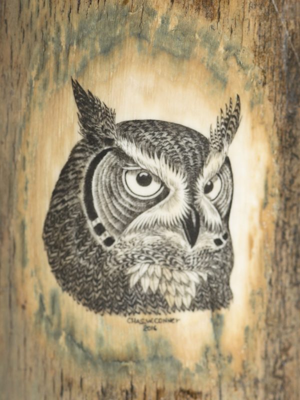 Charles Conner Scrimshaw - Hoot Owl Stare