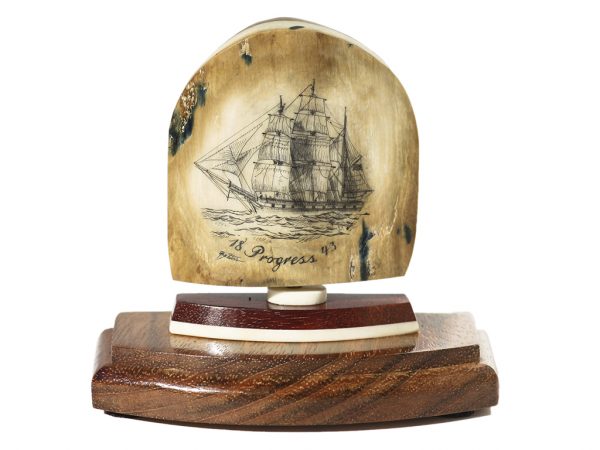 Ray Peters Scrimshaw - Whaler Progress 1843