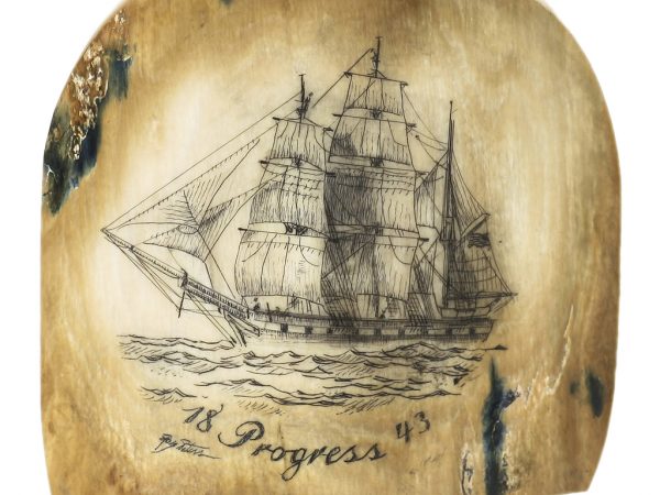 Ray Peters Scrimshaw - Whaler Progress 1843