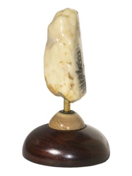 Scrimshaw Letter Opener