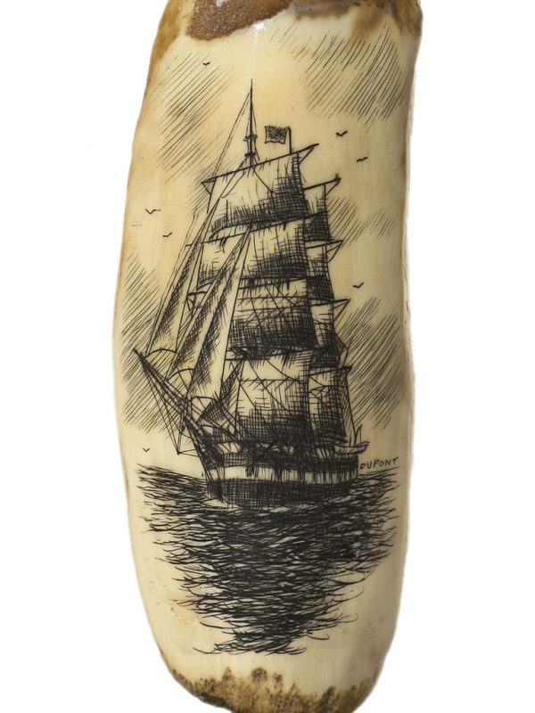 Gerry Dupont Scrimshaw - Whaleship Searching