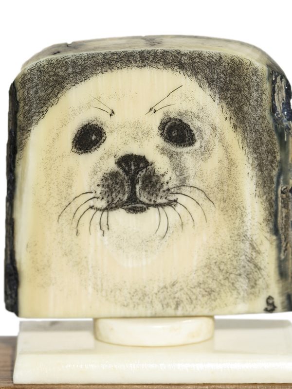 David Smith Scrimshaw - Harp Seal Pup