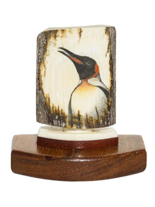 David Smith Scrimshaw - Emperor Penguin