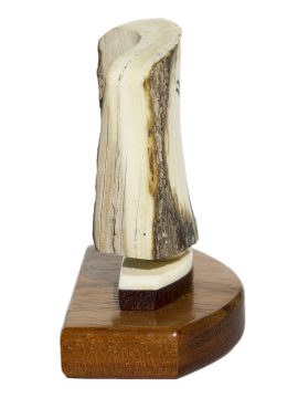 David Smith Scrimshaw - Emperor Penguin